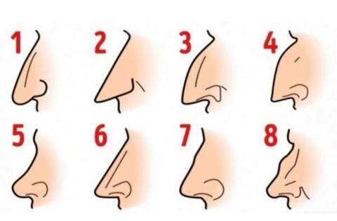 ما الذي يكشفه شكل أنفك من أسرار وسمات شخصيتك؟.. اعرف المزيد