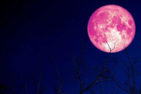 القمر العملاق يظهر في سماء السعودية ودول عربية